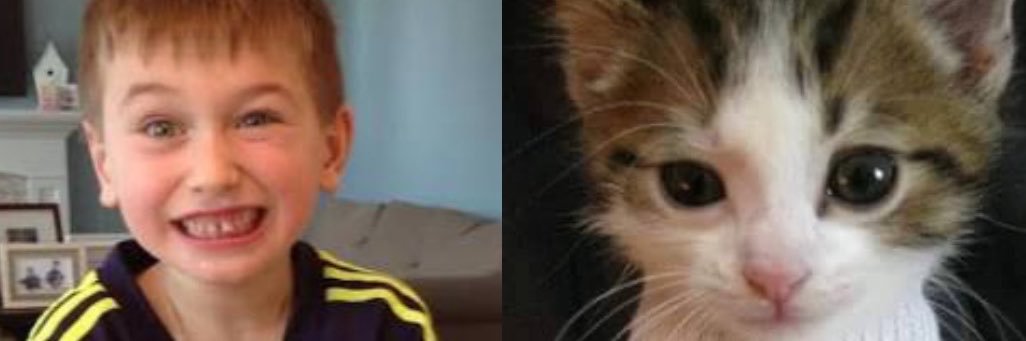 macksmouse's profile banner image