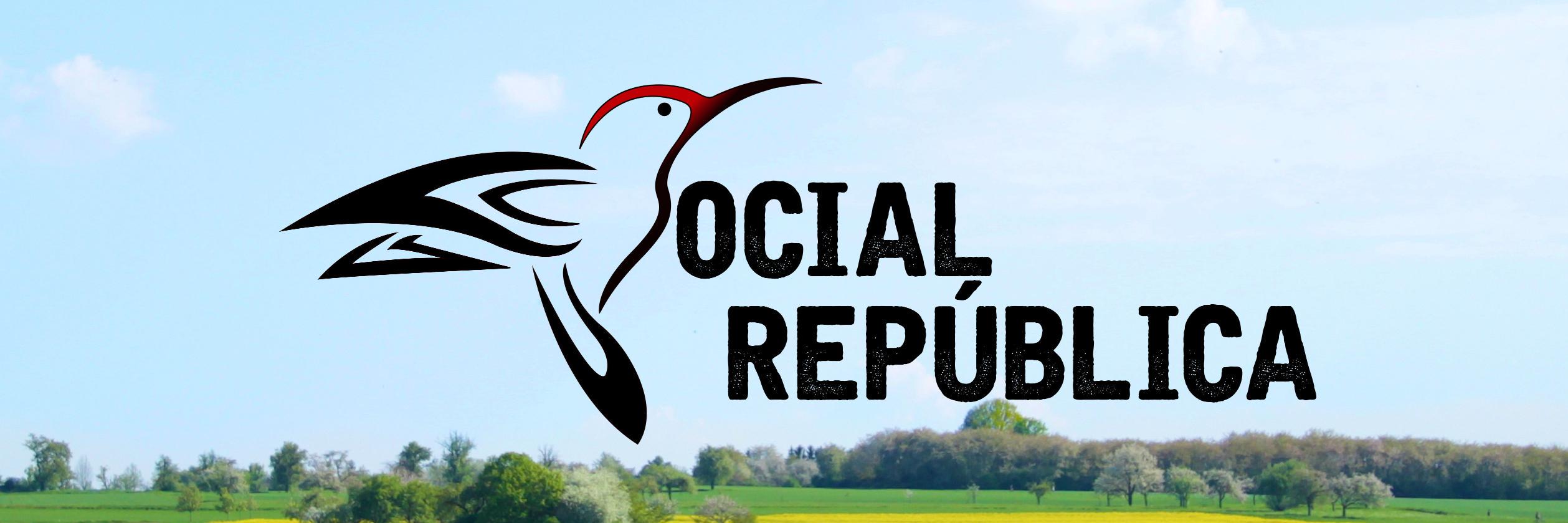 social_rep's profile banner image