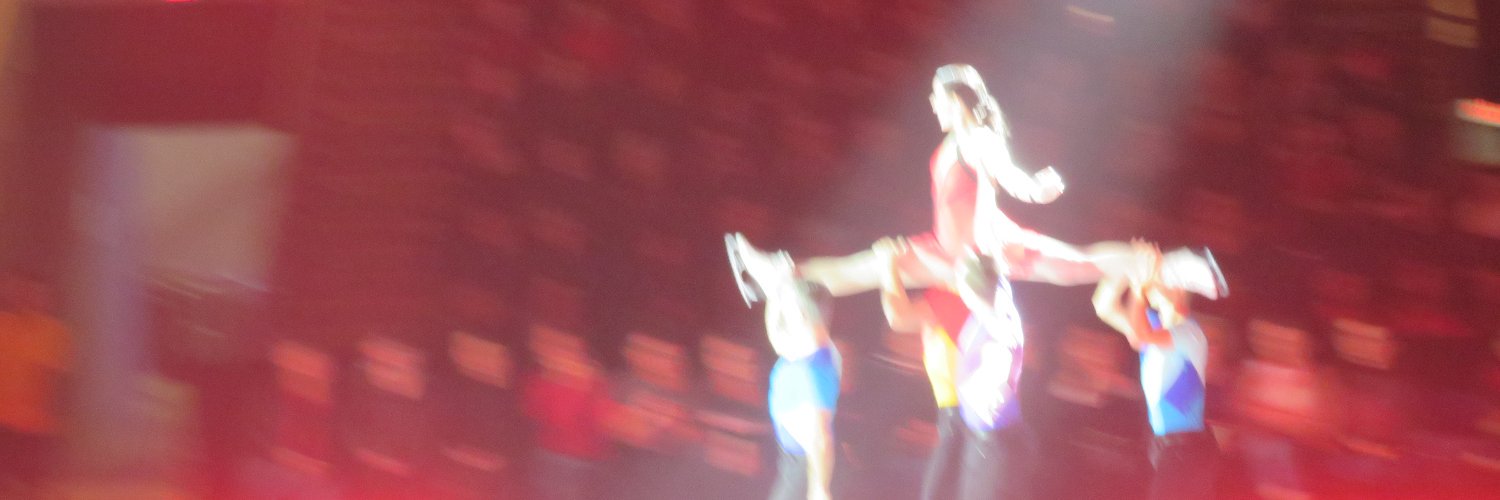 nic banner