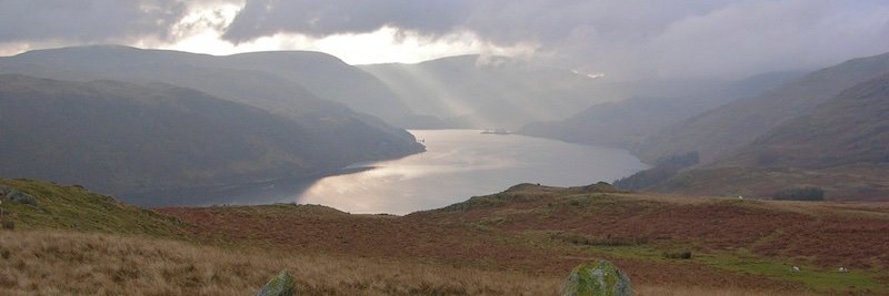 Dominic Johnson banner