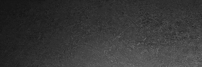MuttNinja's profile banner image