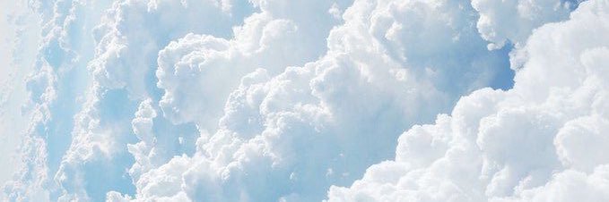 SpoiltMushroom's profile banner image