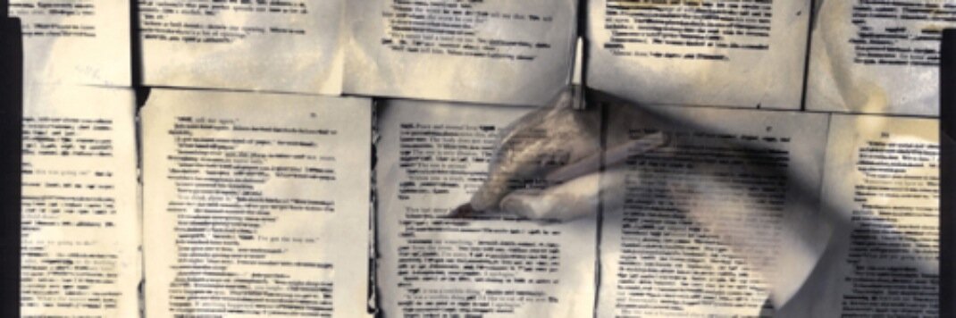 larasendim's profile banner image