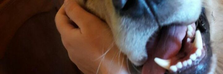 MajodDg's profile banner image
