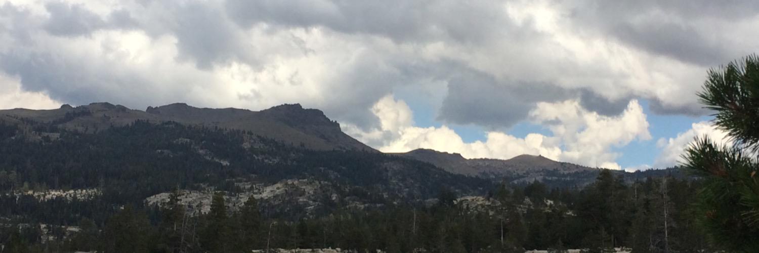 AlzRuth's profile banner image