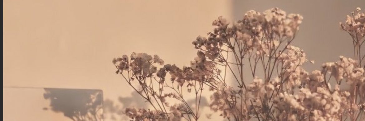 only_daisha's profile banner image