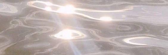 lavieelo's profile banner image