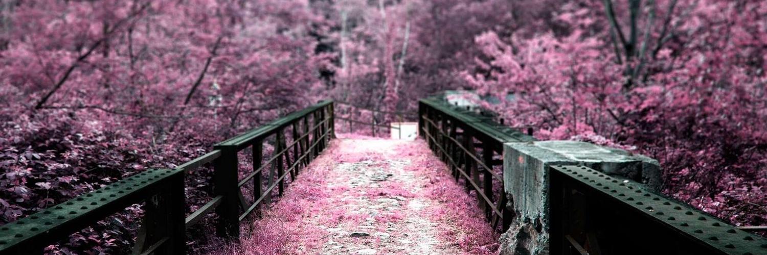 sass841's profile banner image
