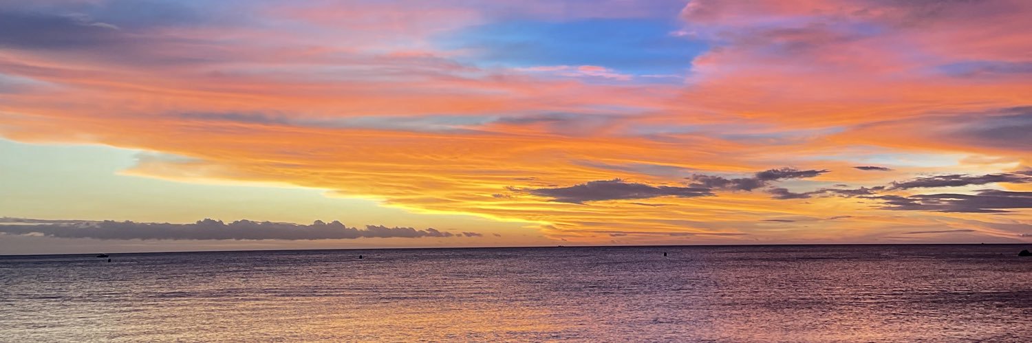 Joeyflh's profile banner image