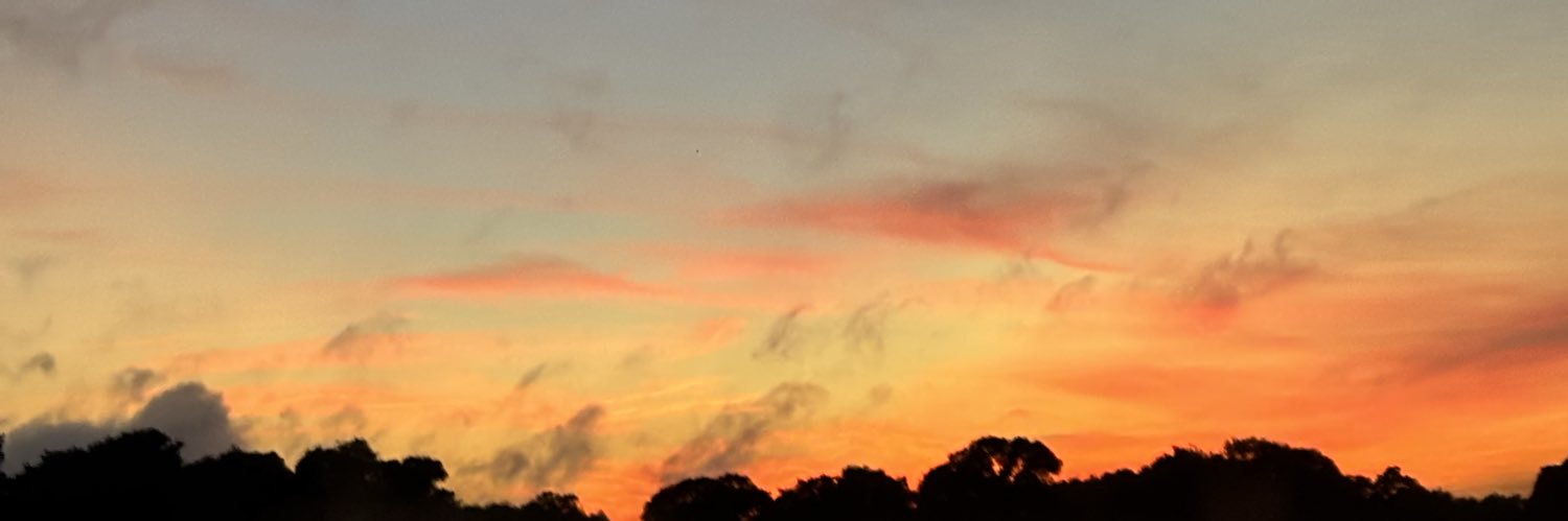 vicorreadr's profile banner image