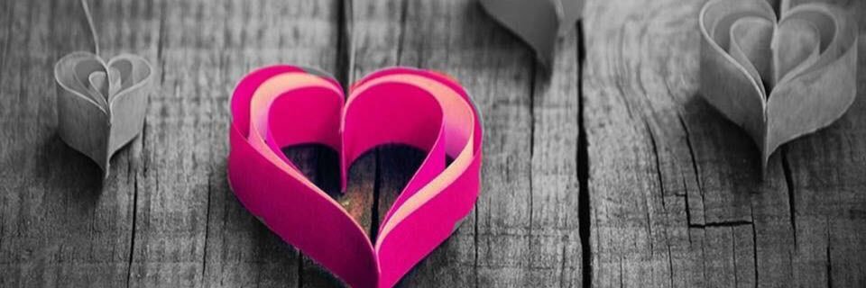 lisabee_1's profile banner image