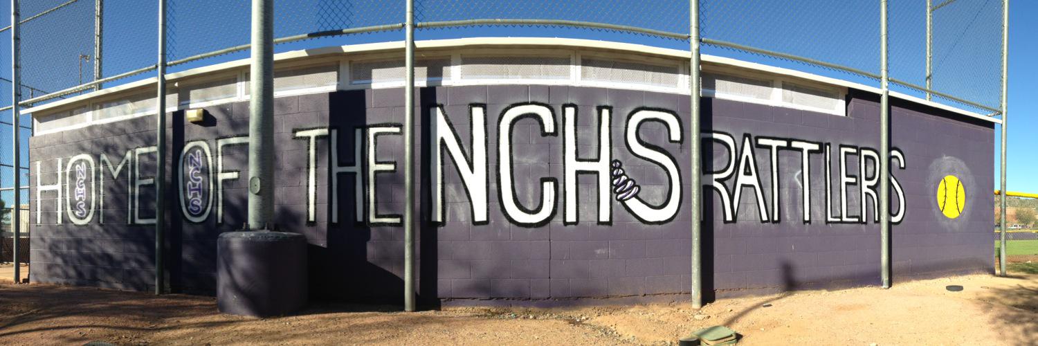 Rattlers Softball banner