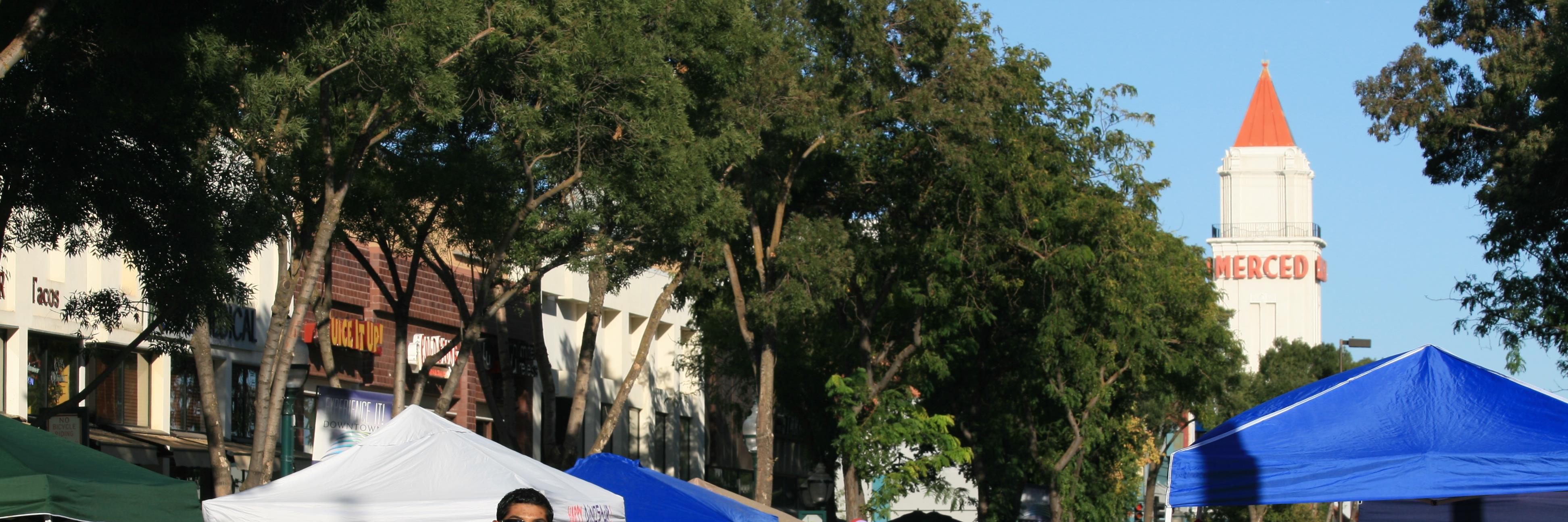 Merced City Hall banner