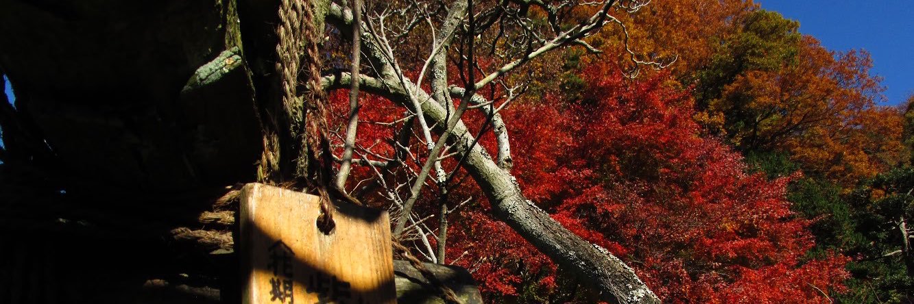 hrlyqnsj's profile banner image
