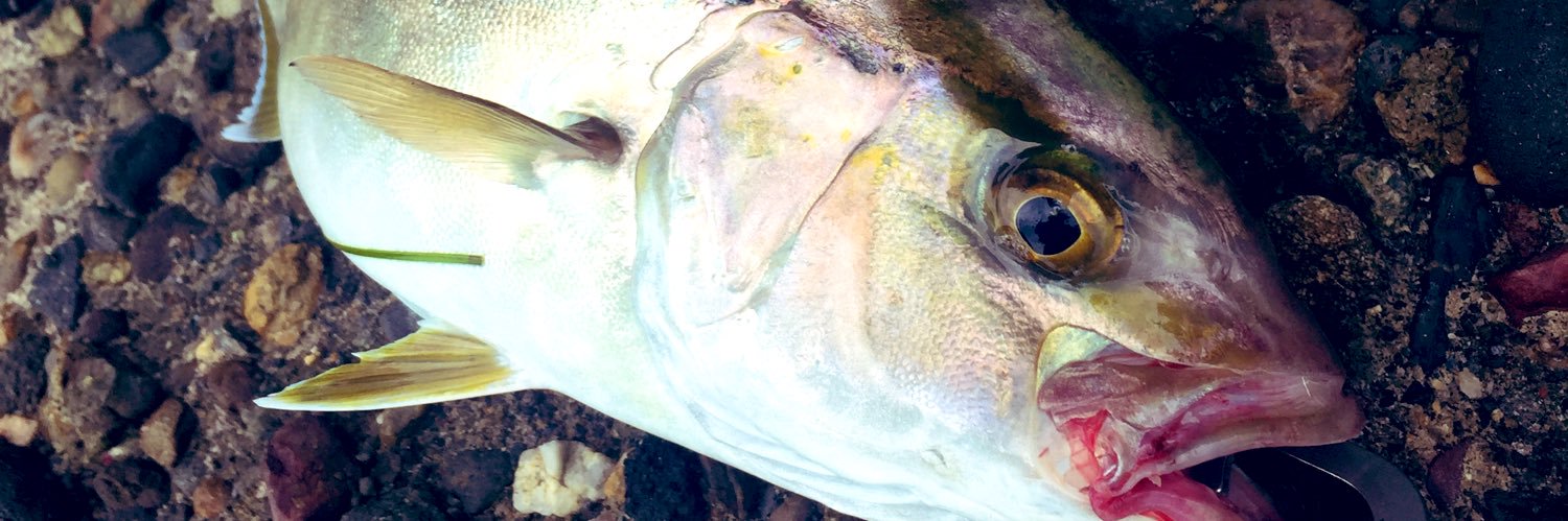 seabass255's profile banner image