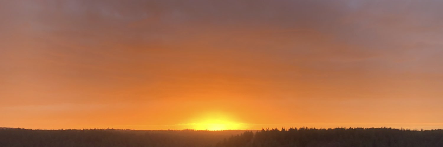 raeganwhitney's profile banner image