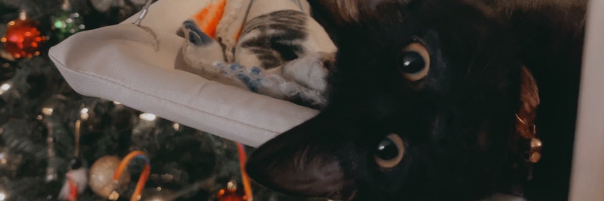 jessika_maree16's profile banner image