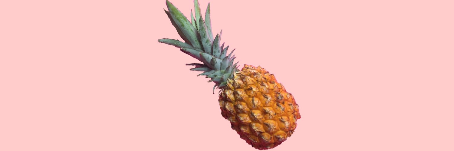 foodprojectmex's profile banner image