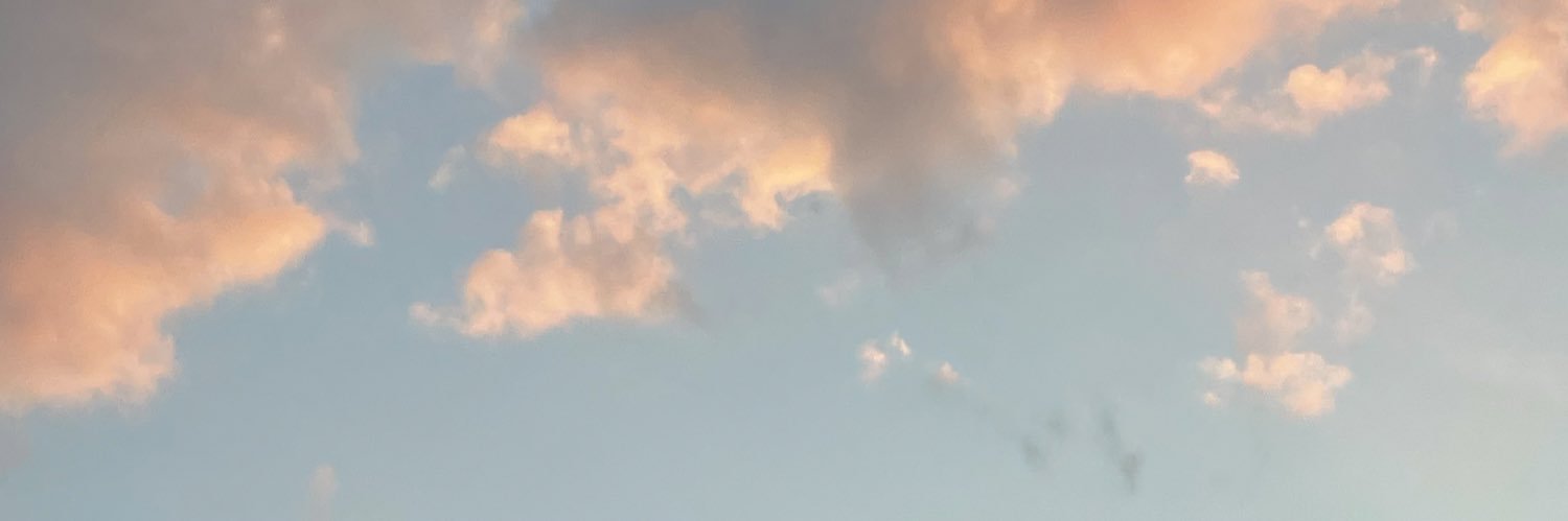 skyeefowlkess's profile banner image