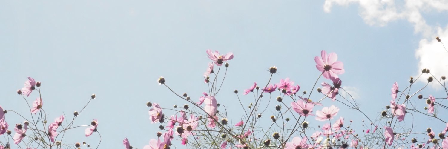 cnytym_26's profile banner image