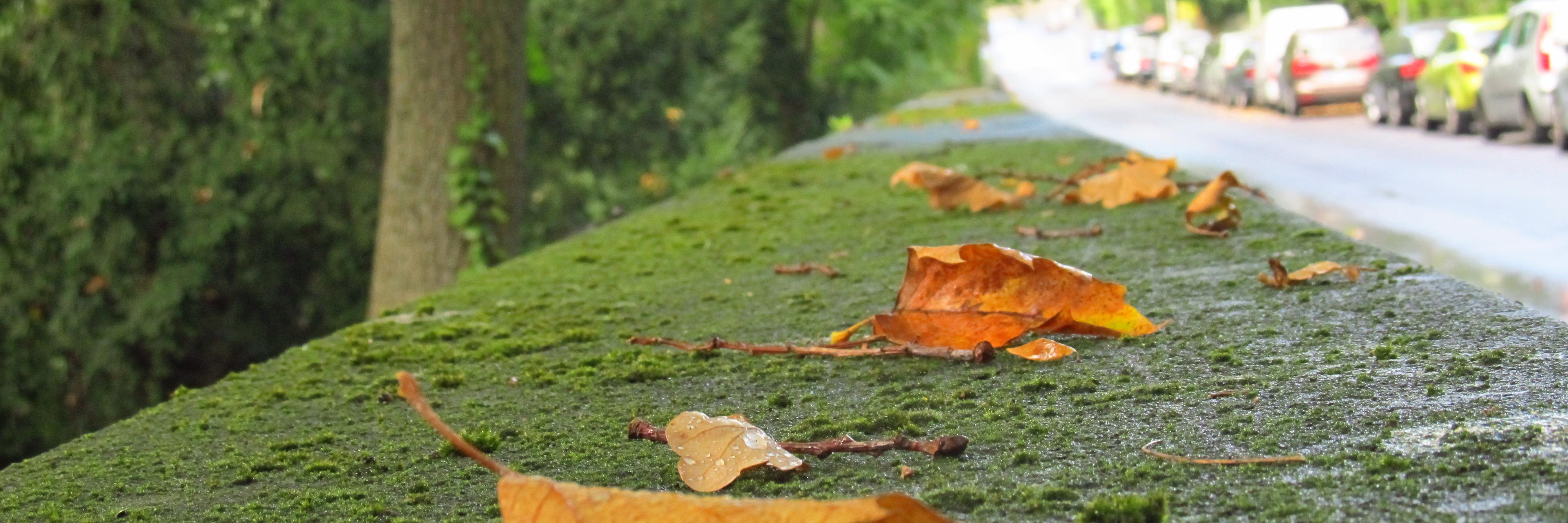 RubenAtb's profile banner image