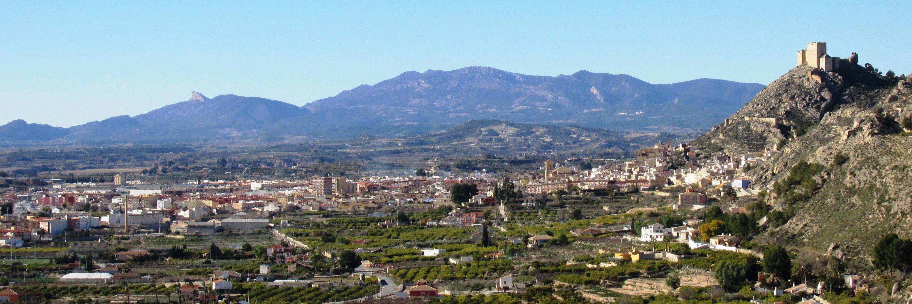elbuitrago banner