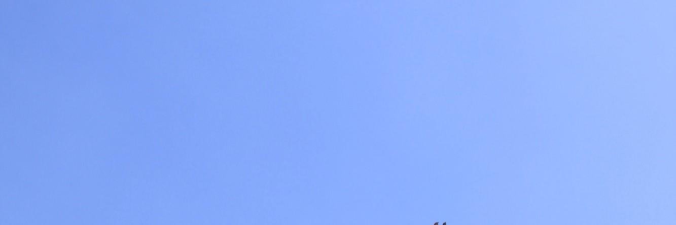 Ormerods Solicitors banner