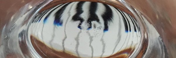 smith_lena Profile Banner