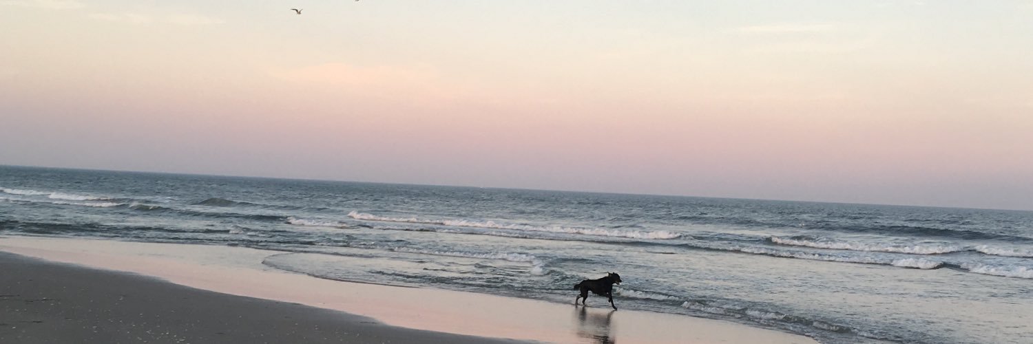 ginarussoo15's profile banner image