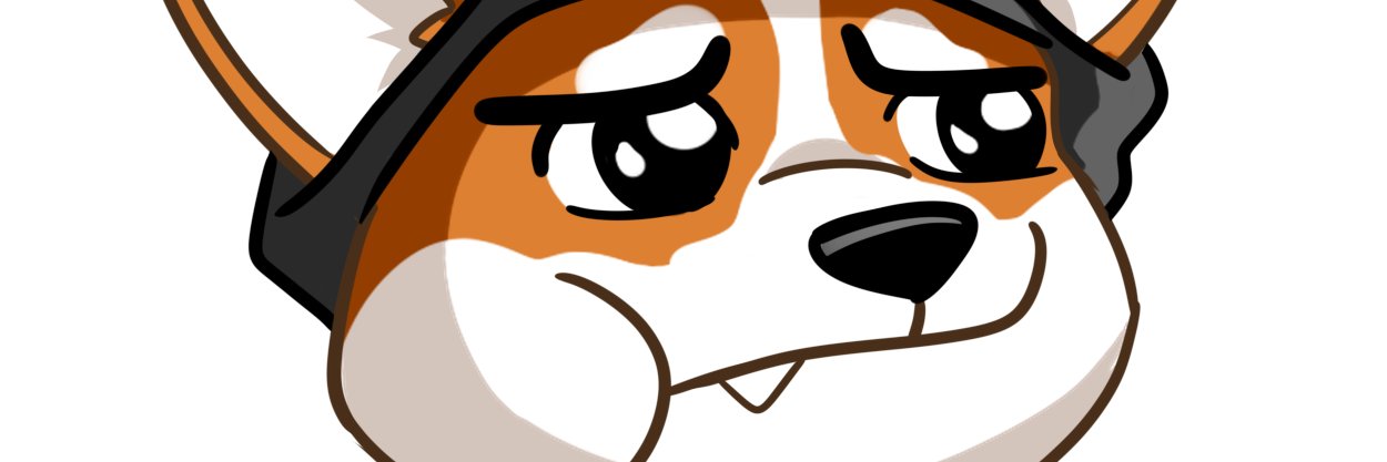 BecauseWhyNot banner