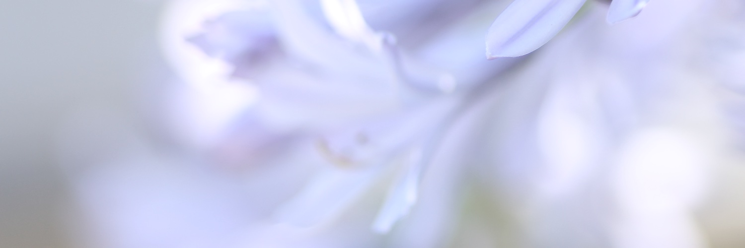 yukkoadachi's profile banner image
