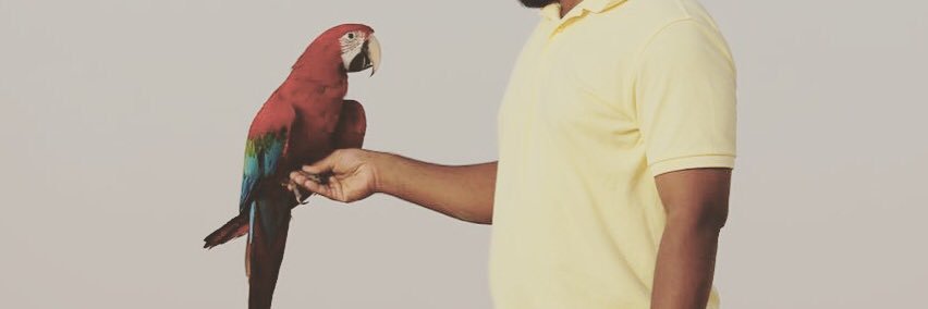 saberr8881's profile banner image