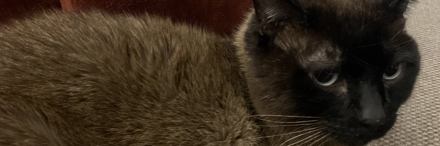 HMaamouri's profile banner image