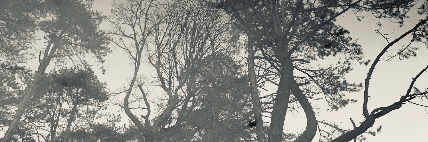 FiercelyIndie's profile banner image