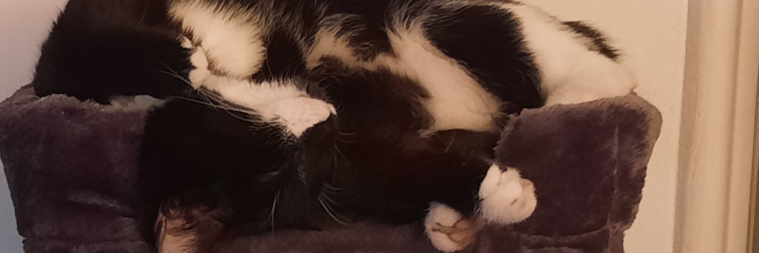AlderickAut's profile banner image