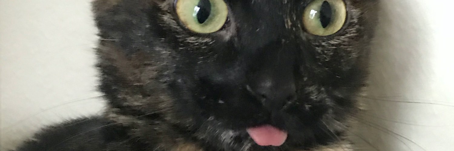 NadiaMLake's profile banner image