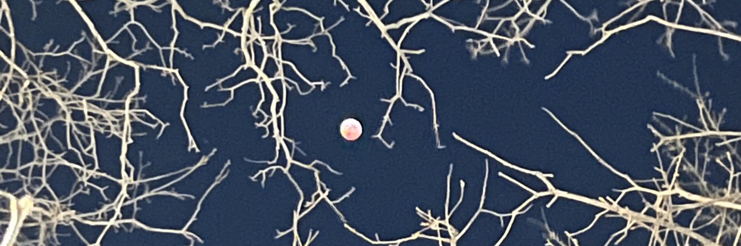 hvlwe's profile banner image