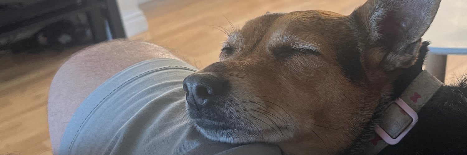 DavidJPM's profile banner image