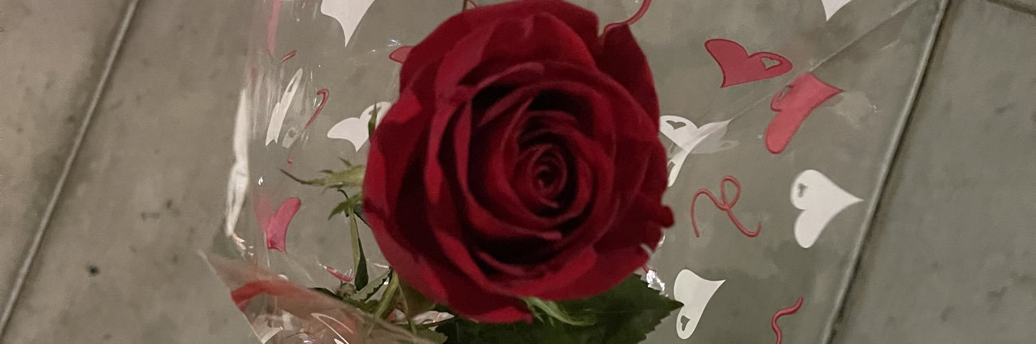 cinmendozax's profile banner image