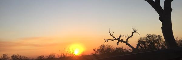 LeeAnnMorgan1 Profile Banner