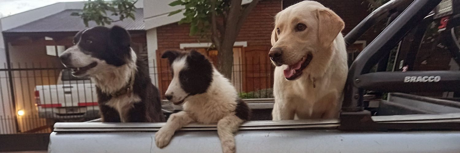 vivalapepaaa_'s profile banner image