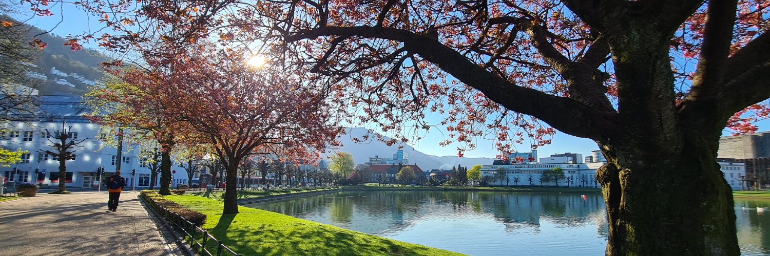 bergenkommune's profile banner image