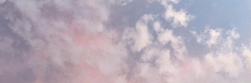 cherriesamelie's profile banner image