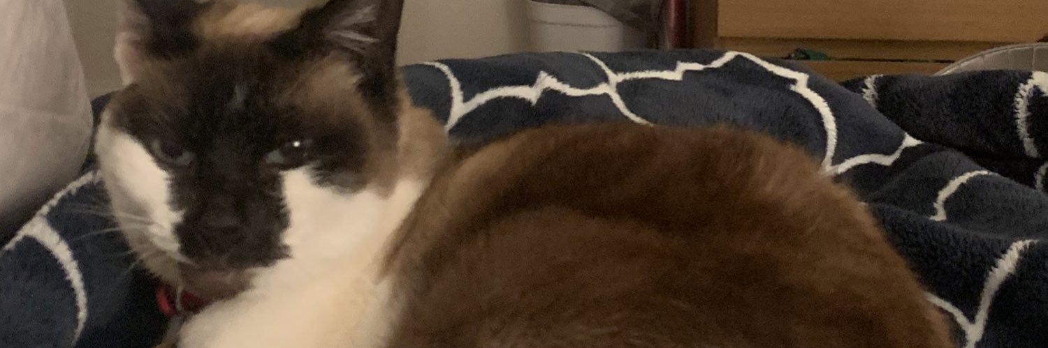 lilfsmom's profile banner image