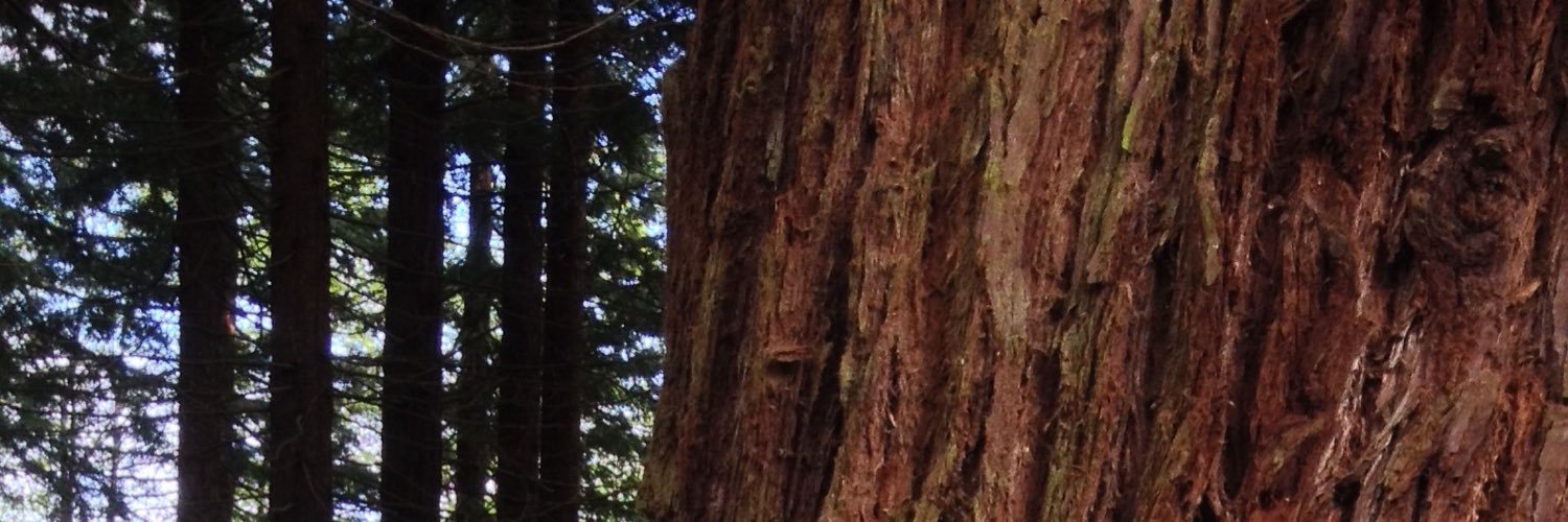 DrAlanGJones's profile banner image