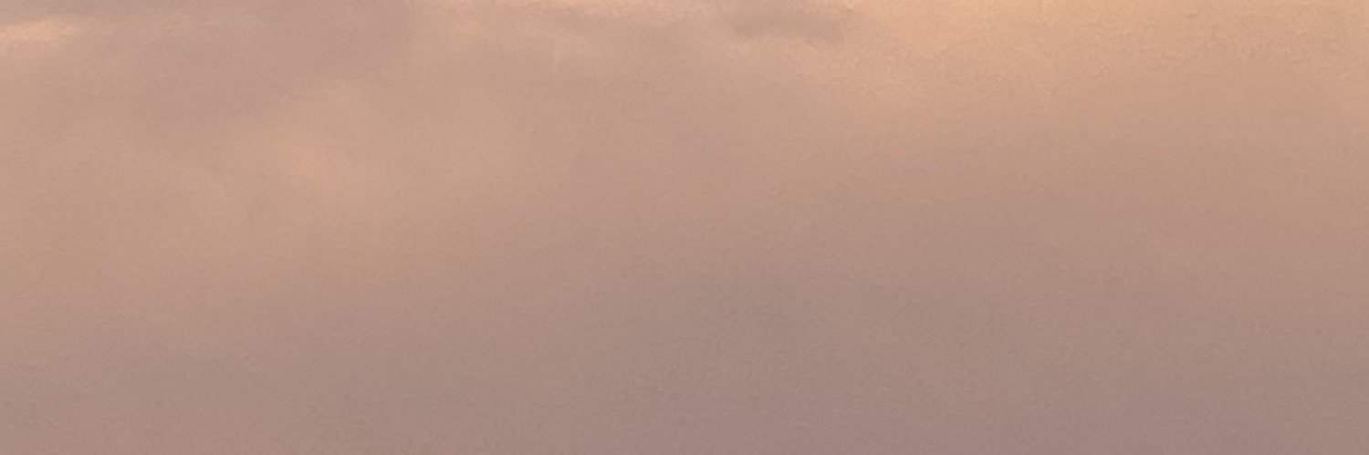 __ntpp's profile banner image