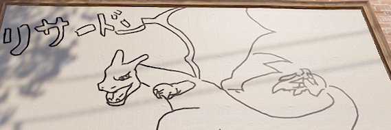 insectloverpoke's profile banner image