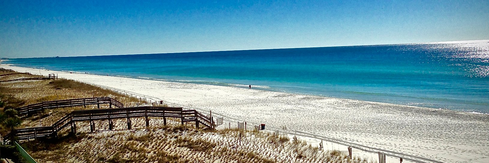 Steven F. Griggs banner