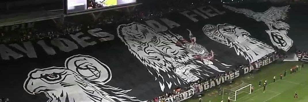 BerlingeriCarol's profile banner image