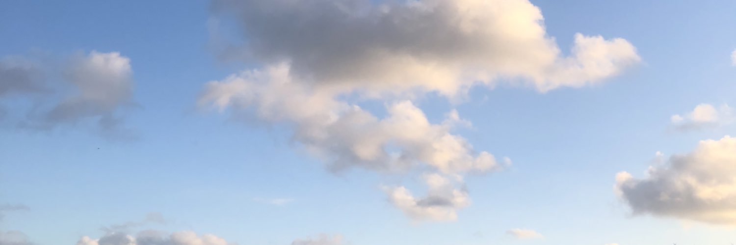 joaomfrs's profile banner image